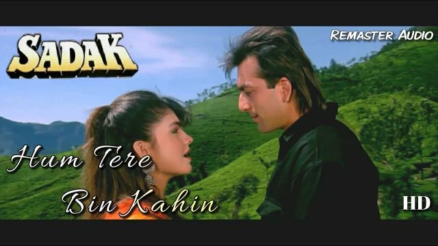Hum Tere Bin Kahin - Sadak (1991) Full Video Song *HD*